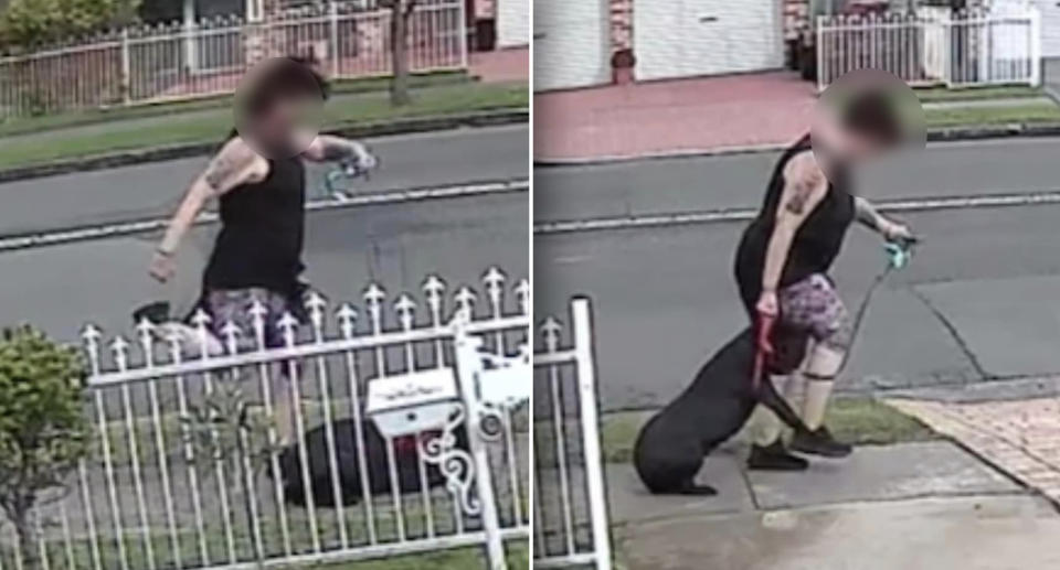 A woman kicks a black dog on the side of a street in Lalor Park, Sydney