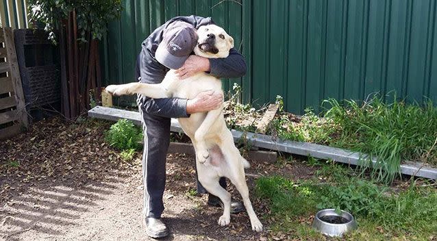 Mr Simmons is relieved his dog got nowhere near the food. Source: Supplied