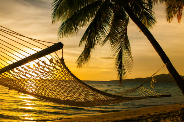 hammock silhouette with palm...