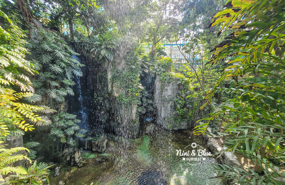 台中｜國立自然科學博物館植物園