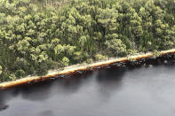 Whale carcasses are scattered along the water's edge near Strahan, Australia, Wednesday, Sept. 23, 2020. Authorities revised up the number of pilot whales rescued from Australia's worst-ever mass stranding from 50 to 70 on Thursday, Sept. 24, 2020, as the focus shifted to removing 380 carcasses from Tasmania state shallows. (Patrick Gee/Pool Photo via AP)