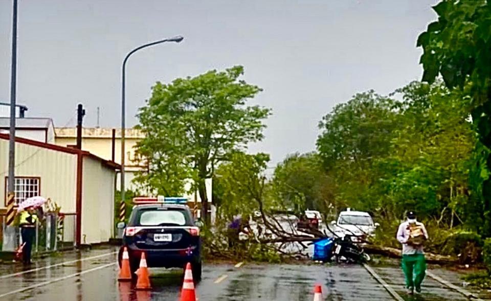 孫姓郵差今中午騎機車經過芬園鄉彰南路，卻遭倒下的路樹不偏不倚砸中身亡，現場血跡斑斑。（圖／翻攝畫面）