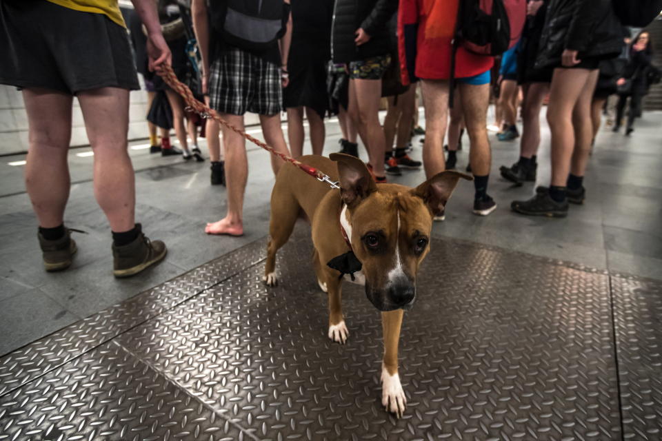 Young people wearing no pants participate in the ‘No Pants Subway Ride’ inPrague, Czech Republic, Jan. 13, 2019. The No Pants Subway Ride is an annual global event started in New York in 2002. (Photo: Martin Divisek/EPA-EFE/REX/Shutterstock)