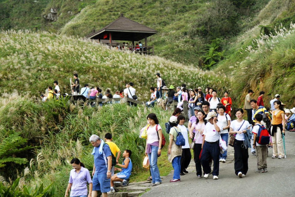 2018草嶺古道芒花季資料照(圖片來源：東北角暨宜蘭海岸國家風景區)