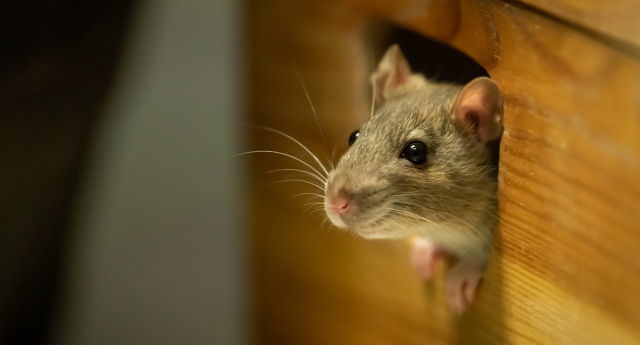 Simple hack to help save wildlife during supermarket shop