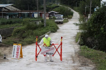 A quarantine official wearing protective gear sets up a barricade at a pig farm involved in African swine fever in Paju