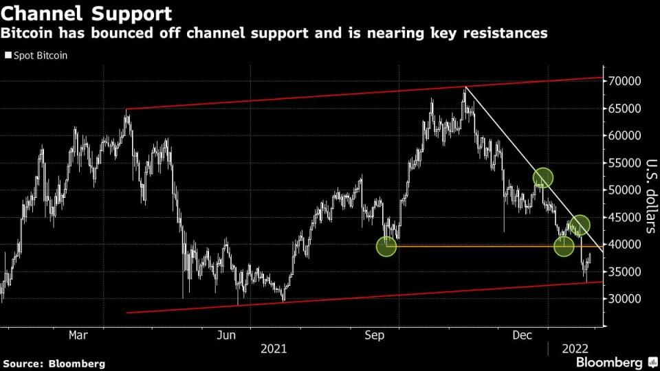 Bitcoin rose the most in three months before paring gains in volatile trading after the federal reserve signaled that it will begin raising interest rates soon.