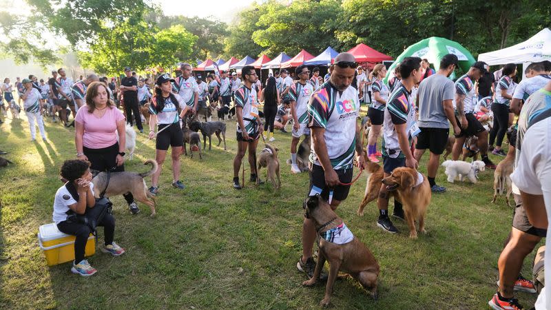 委內瑞拉狗狗賽跑 支持動物收容所並減少棄養