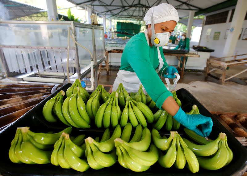 Foto de archivo. Una mujer trabaja en una finca bananera en Carepa, en el departamento de Antioquia