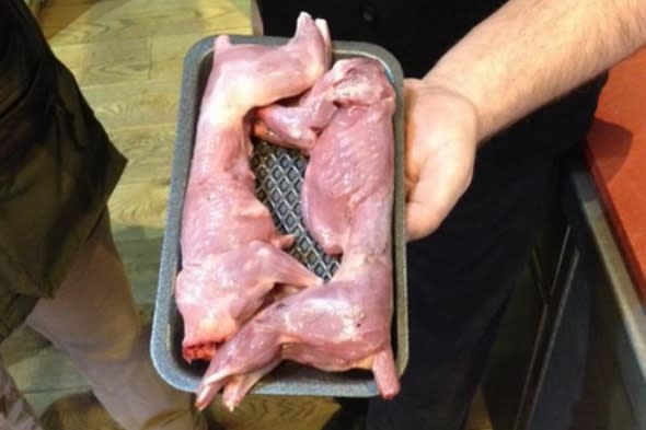 Squirrel from the Elveden Estate butcher