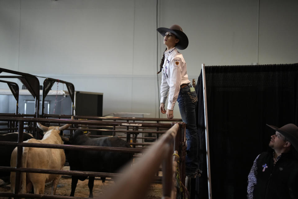 Najiah Knight looks at bulls in the paddock before competing in the bull riding competition during the Junior World Finals rodeo, Thursday, Dec. 7, 2023, in Las Vegas. (AP Photo/John Locher)