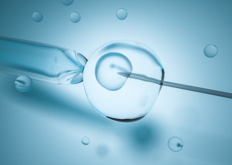 <span class="caption">IVF has changed the way people think about infertility.</span> <span class="attribution"><span class="source">Shutterstock</span></span>