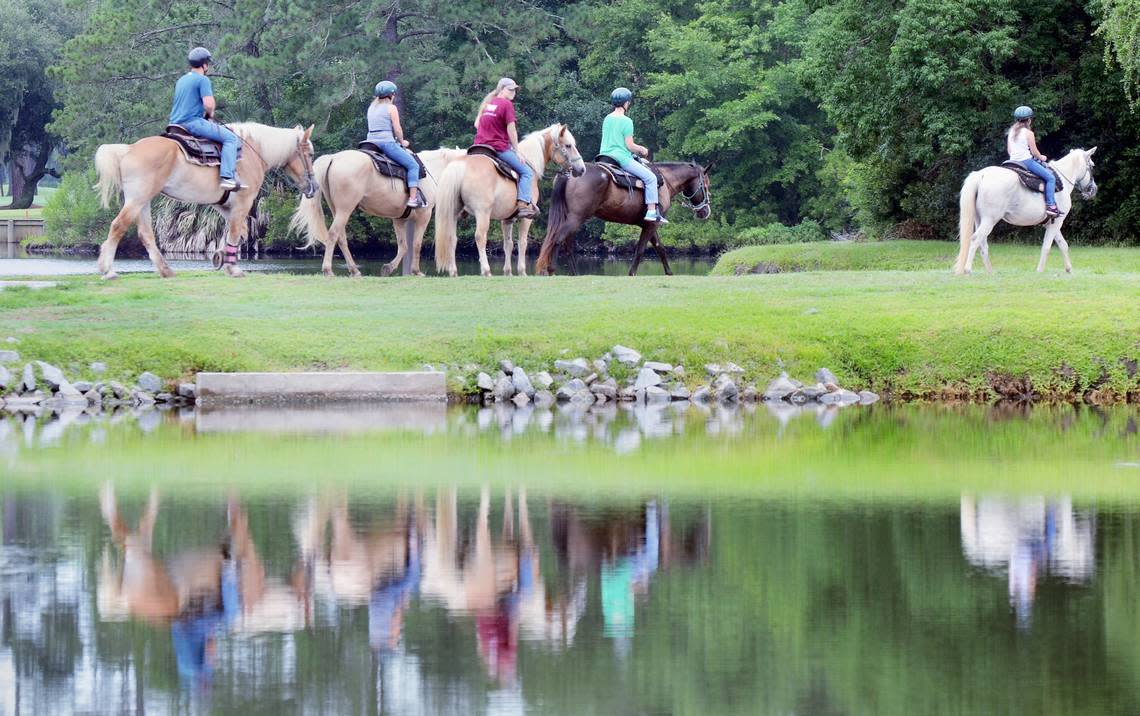 A group of horses and riders crossing Greenwood Drive on Monday are reflected in a lagoon as they return to Lawton Stables following a trail ride through the Sea Pines Forest Preserve.