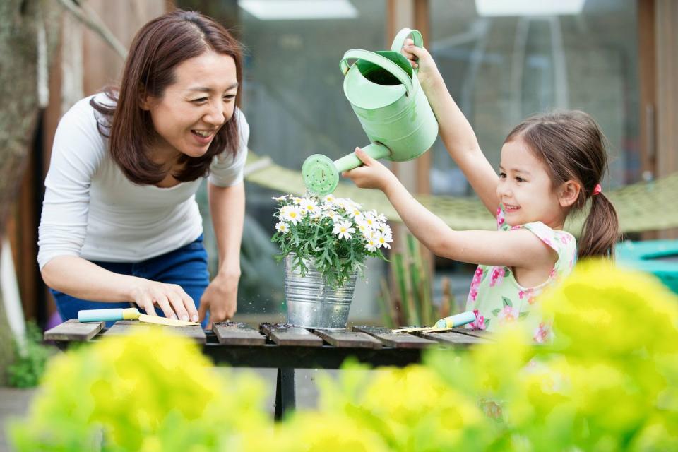 Take an online flower arranging course.