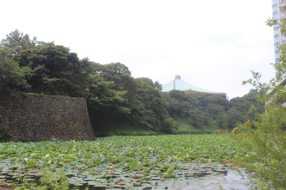 Budokan's exterior with moat.