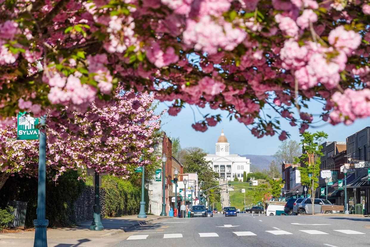 Sylva, NC street with blooms