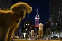 A dog passes by as people watch images being projected onto the Empire State Building, as part of an endangered species projection to raise awareness, in New York August 1, 2015. (REUTERS/Eduardo Munoz)
