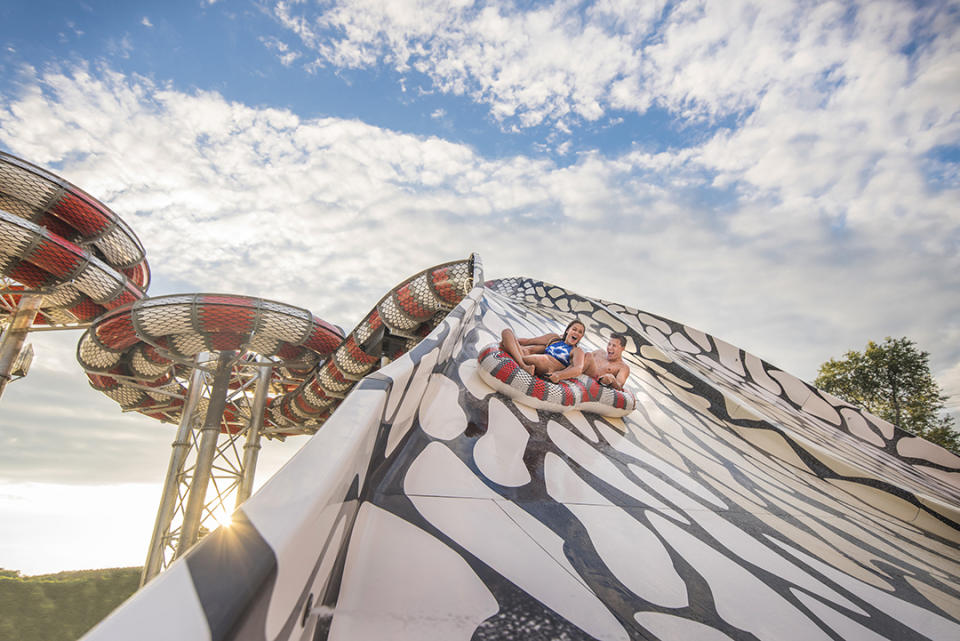 The Raja slide at Noah's Ark Waterpark has a King Cobra snake theme