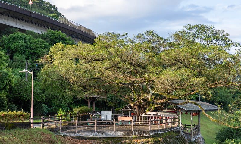 基隆｜黃麵暖碇店