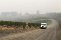 A U.S. postal delivery vehicle drives past at a smoke-shrouded vineyard in Salem, Ore., on Wednesday, Sept. 16, 2020. Smoke from the West Coast wildfires has tainted grapes in some of the nation’s most celebrated wine regions. The resulting ashy flavor could spell disaster for the 2020 vintage. (AP Photo/Andrew Selsky)