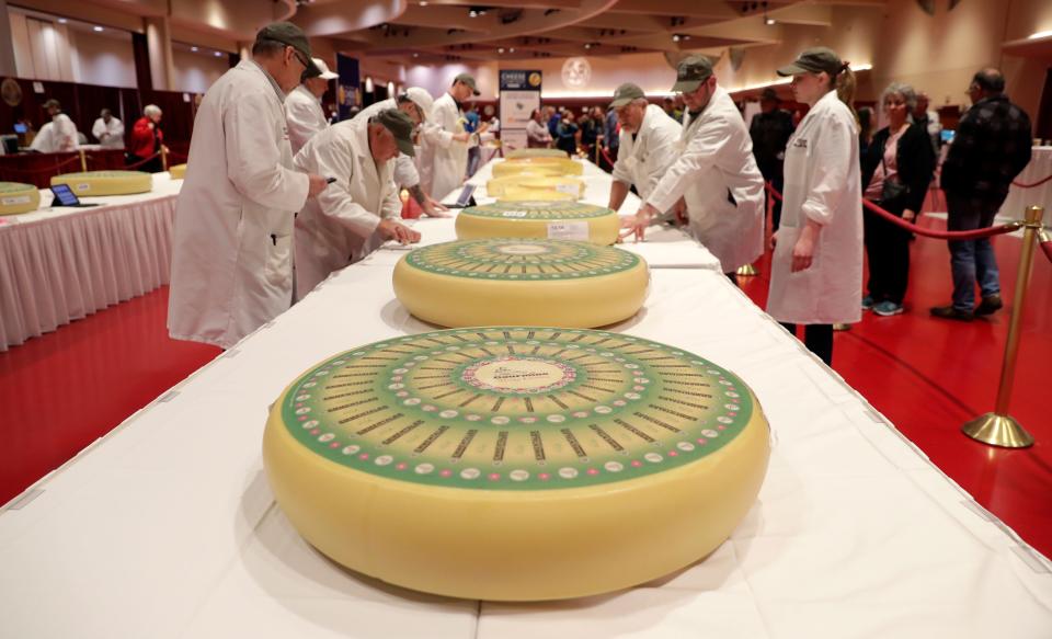 Wheels of Swiss cheese are cut for judging during the 2024 World Championship Cheese Contest on Tuesday at Monona Terrace Community and Convention Center in Madison.