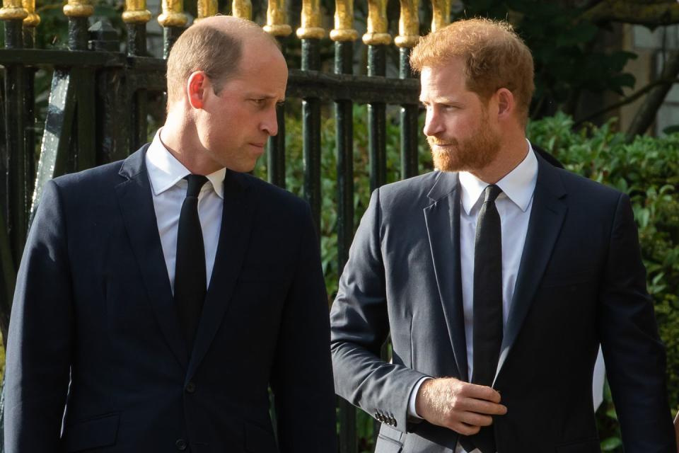 prince william and prince harry looking at each other, each wearing black suits