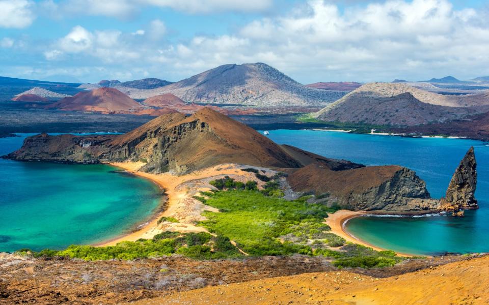 The Galapagos Islands