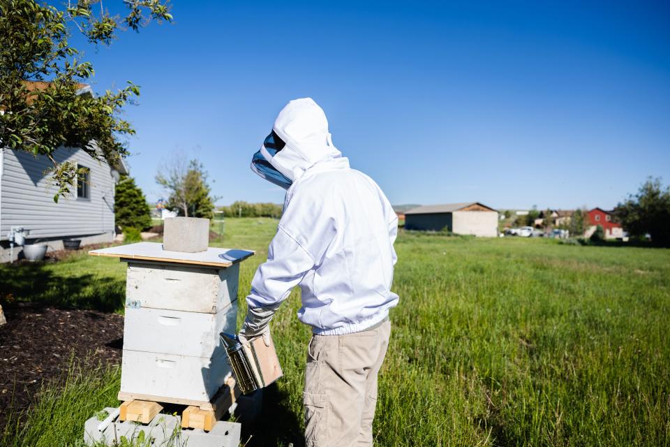 Deseret News features writer Collin Leonard prepares to tend to his beehive in Park City on June 21, 2023. | Ryan Sun, Deseret News