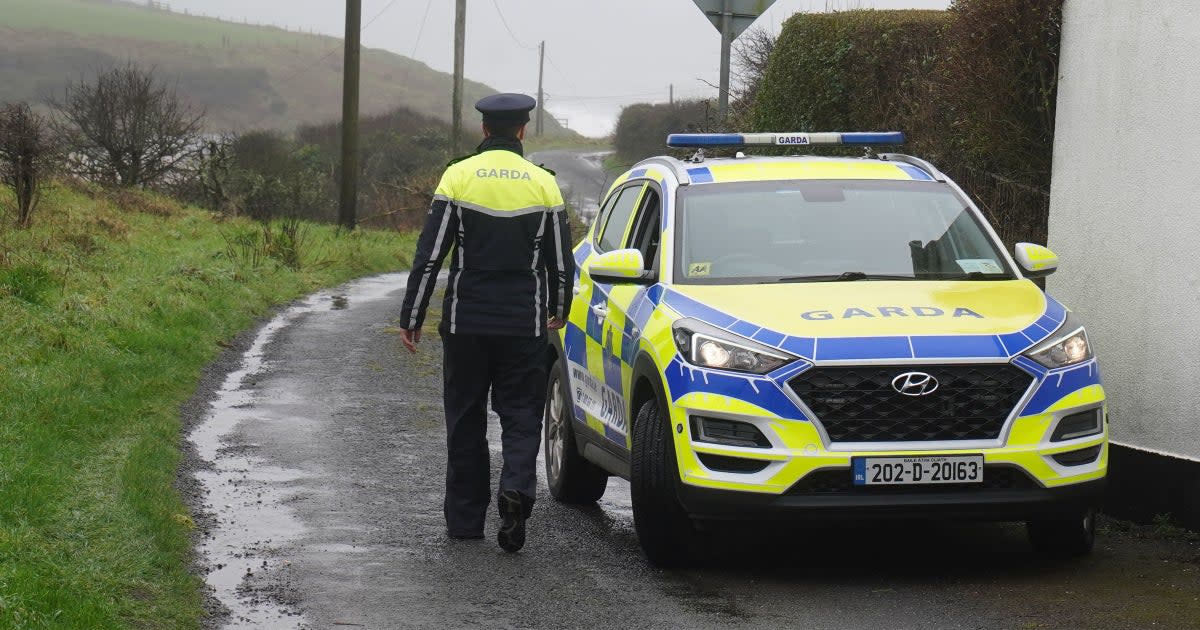 Garda were called to the dog attack in Ballyneety, in County Limerick, on Tuesday night at around 11.40pm. Image is not from the incident.  (PA)