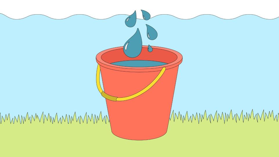 Greywater can be used for a variety of different household chores such as watering plants and flushing your toilet.