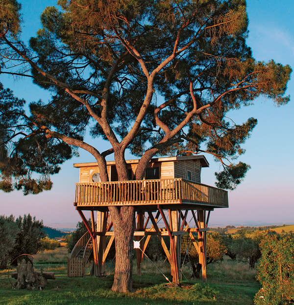 <h2>Black Cabin (La Piantata, Viterbo, Italy)</h2> Amid the leaves of a 200-year old maritime pine, the cabin offers a Corian-lined shower, LED lighting, a flat-screen TV and Bose home-theatre system. But with views over the olive groves and lavender hills of Tuscany, it’s unlikely you’ll spend much time watching reruns. <br><br><b>PRICE</b>: Approx. $525 per night. <br>lapiantata.it (Photo: Maurizio Brera/La Piantata)