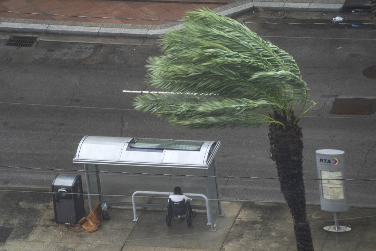 A man in a wheelchair takes refuge under a bus stop shelter as a nearby tree bows against the wind.