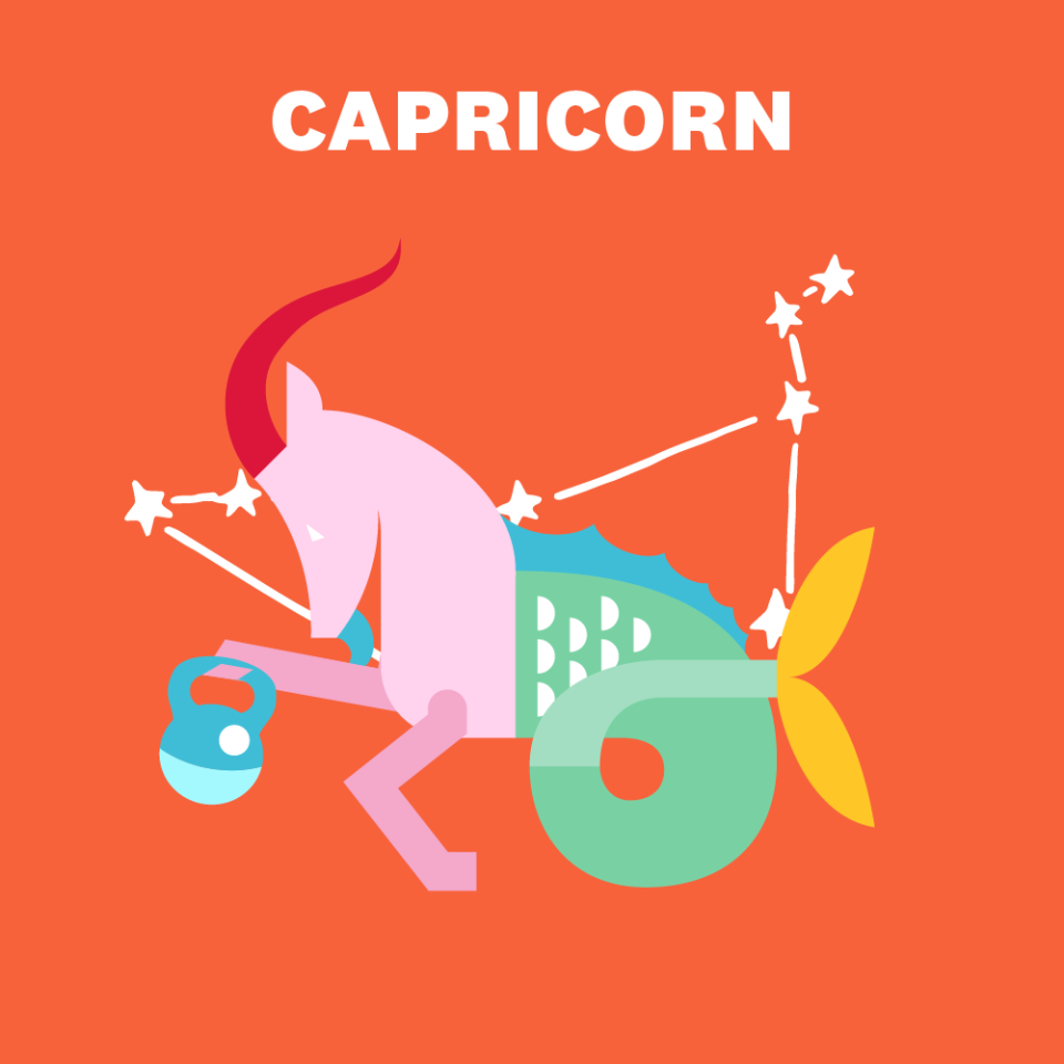 CAPRICORN (DECEMBER 22–JANUARY 19)