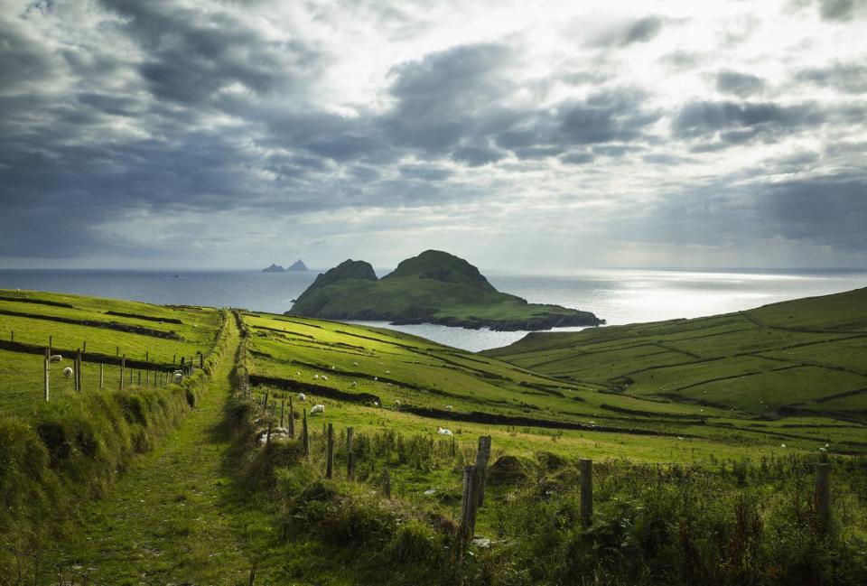 ireland, kerry county st finians bay, view of puffin island