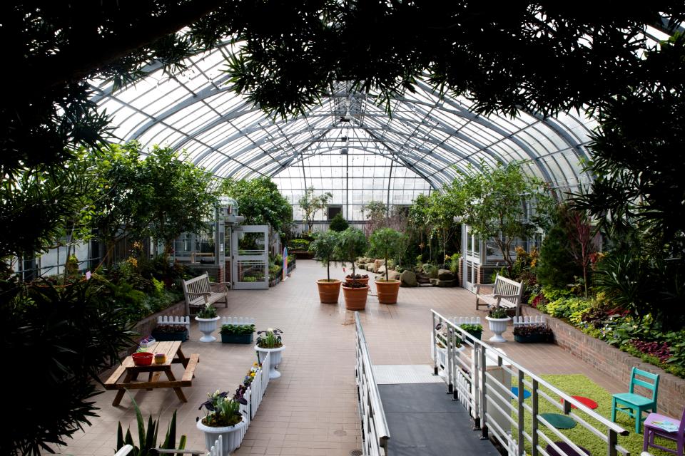 From the fern house to the orchid house, there's greenery of all kinds at Krohn Conservatory.