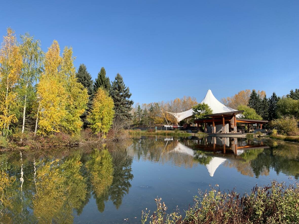 The amphitheatre and pavilion at Hawrelak Park are well-used venues nearly year-round.  (David Bajer/CBC - image credit)