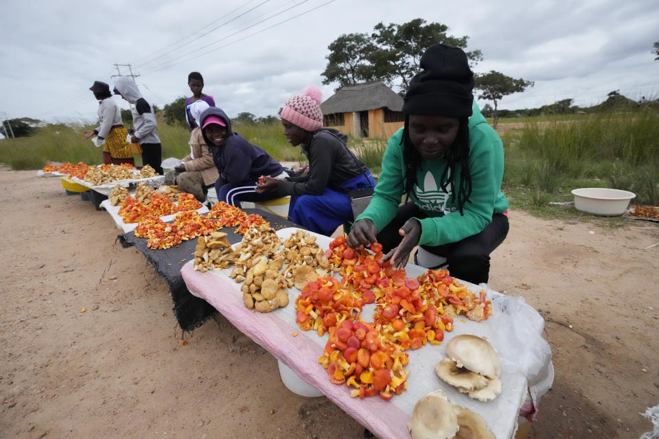 Mujeres venden hongos silvestres a automovilistas en las afueras de Harare, Zimbabue, el miércoles 22 de febrero de 2023. (AP Foto/Tsvangirayi Mukwazhi)