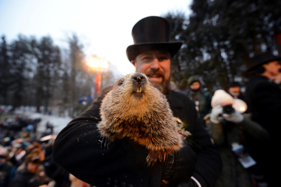 Punxsutawney Phil's co-handler AJ Dereume holds the famous groundhog on the 133rd Groundhog Day in Punxsutawney, Pennsylvania, U.S., February 2, 2019. REUTERS/Alan Freed