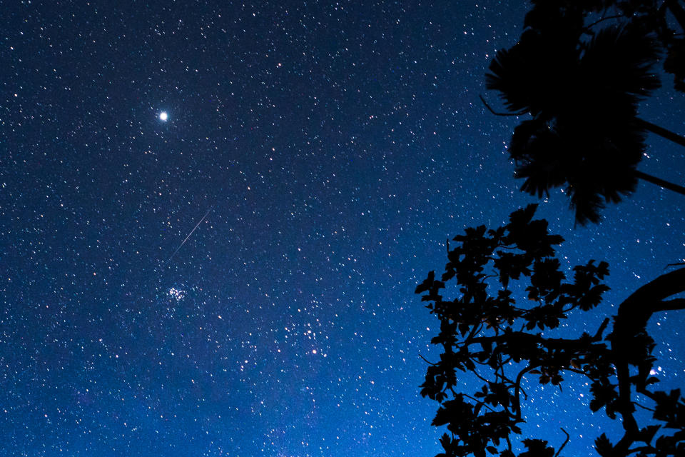 Starry night sky with several white streaks.