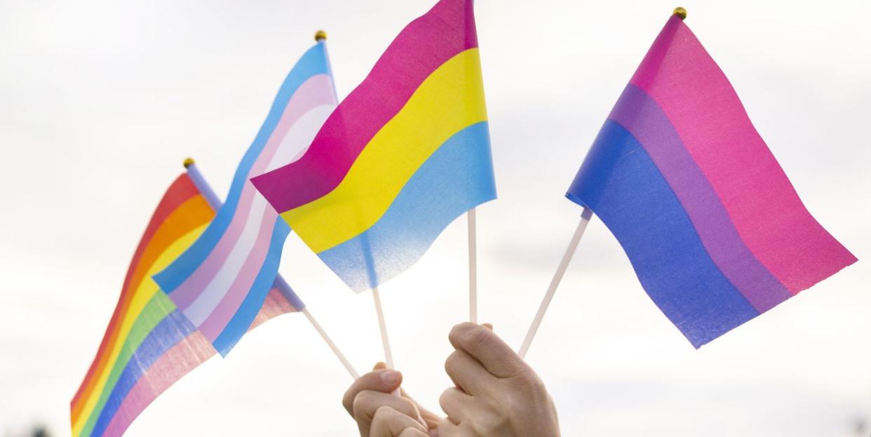 pride flag meanings hands holding pride flags in the sky