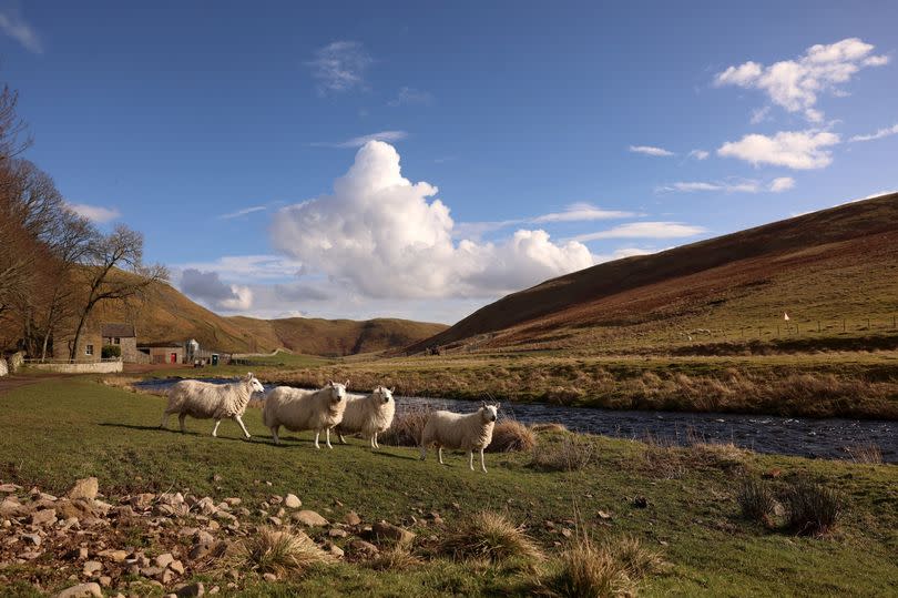 The upper Coquet valley in Northumberland