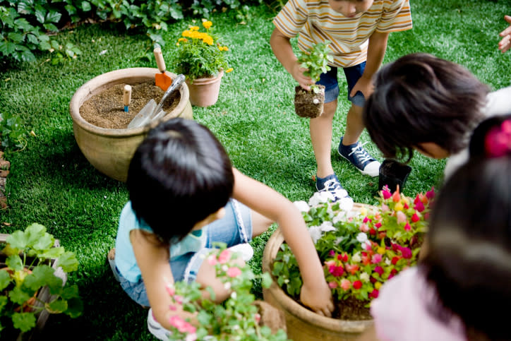 Plant some flowers.