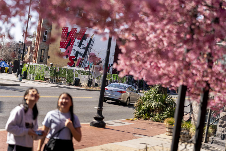 Isabelle Sohn, left, and Elaine Zhang, right, admire cherry blossoms in a neighborhood in Washington, Friday, March 11, 2022. The National Cherry Blossom Festival is returning with all its pageantry, hailed by organizers as the unofficial start of Washington’s re-emergence from the two years of pandemic lockdown. The iconic trees are predicted to reach peak bloom between March 22 and March 25, with a month of events and celebrations running from March 20 through April 17.(AP Photo/Andrew Harnik)