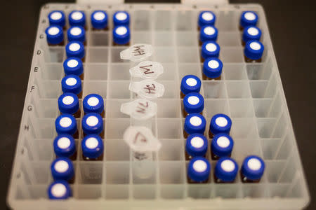 Vials for drug testing are seen at MolecularDX in Windber, Pennsylvania, U.S. on August 9, 2017. REUTERS/Adrees Latif