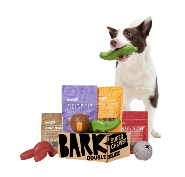 <p><a href="https://go.redirectingat.com?id=74968X1596630&url=https%3A%2F%2Fwww.barkbox.com%2Fproducts%2F1-month-super-chewer%3Fcampaignid%3D20274947402%26gad%3D1%26gclid%3DCjwKCAjwtuOlBhBREiwA7agf1pzCb2aK-6xio8izDZZfFs2NDggVYdi7cYXWo3nMerdIlDzc69znqBoC3MQQAvD_BwE&sref=https%3A%2F%2Fwww.harpersbazaar.com%2Ffashion%2Ftrends%2Fg25047818%2Fbest-subscription-boxes-for-women%2F" rel="nofollow noopener" target="_blank" data-ylk="slk:Shop Now;elm:context_link;itc:0;sec:content-canvas" class="link ">Shop Now</a></p><p>Super Chewer Tough Dog Toys and Treats Box</p><p>Bark</p><p>$40.00</p><span class="copyright">Bark</span>