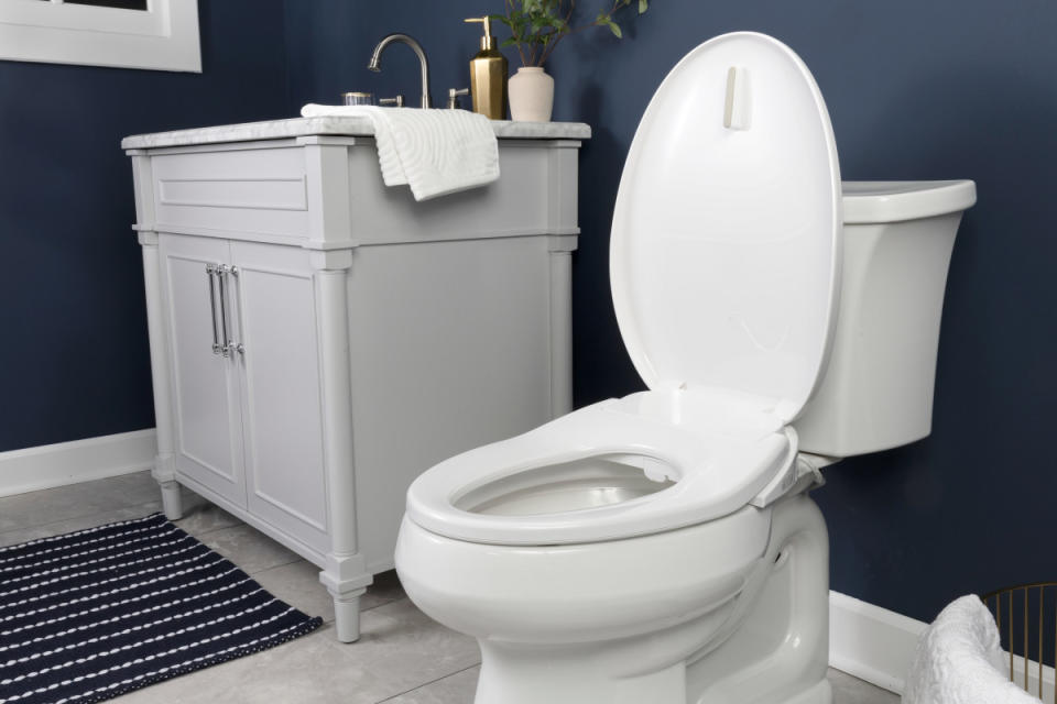 Upgrade your bathroom with a hygienic bidet toilet.<p>BioBidet by Bemis</p>
