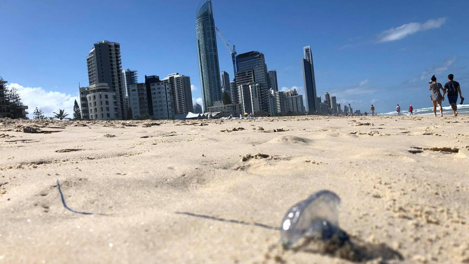 Bluebottles have inundated Queensland beaches. Source: AAP