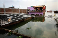 <p>A man and a dog take refuge on the roof of their submerged house in Allahabad, India, Thursday, Aug. 25, 2016. (AP Photo/Rajesh Kumar Singh)</p>