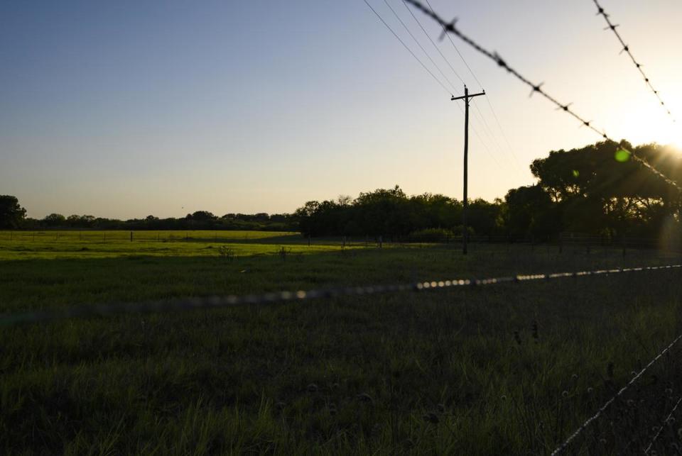 A portion of Louis and Eliza Eckford’s tract of land is seen beyond a fence bordering Farm to Market Road 627 Thursday, Aug. 17, 2023 in Karnes County.