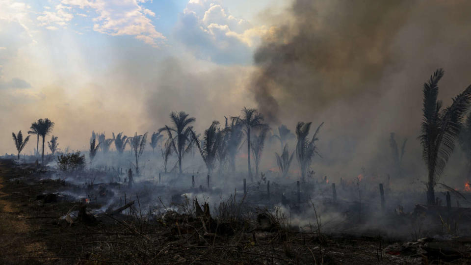 Cette photo d’archive prise le 21 septembre 2022 montre une vue d’une zone brûlée de la forêt amazonienne à Apui, dans le sud de l’État d’Amazonas, au Brésil.